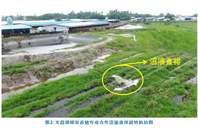 典型案例 丨文昌市珠溪河流域水质污染严重控源截污成效不明显 水环境问题依然突出(图2)