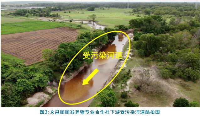 典型案例 丨文昌市珠溪河流域水质污染严重控源截污成效不明显 水环境问题依然突出(图3)
